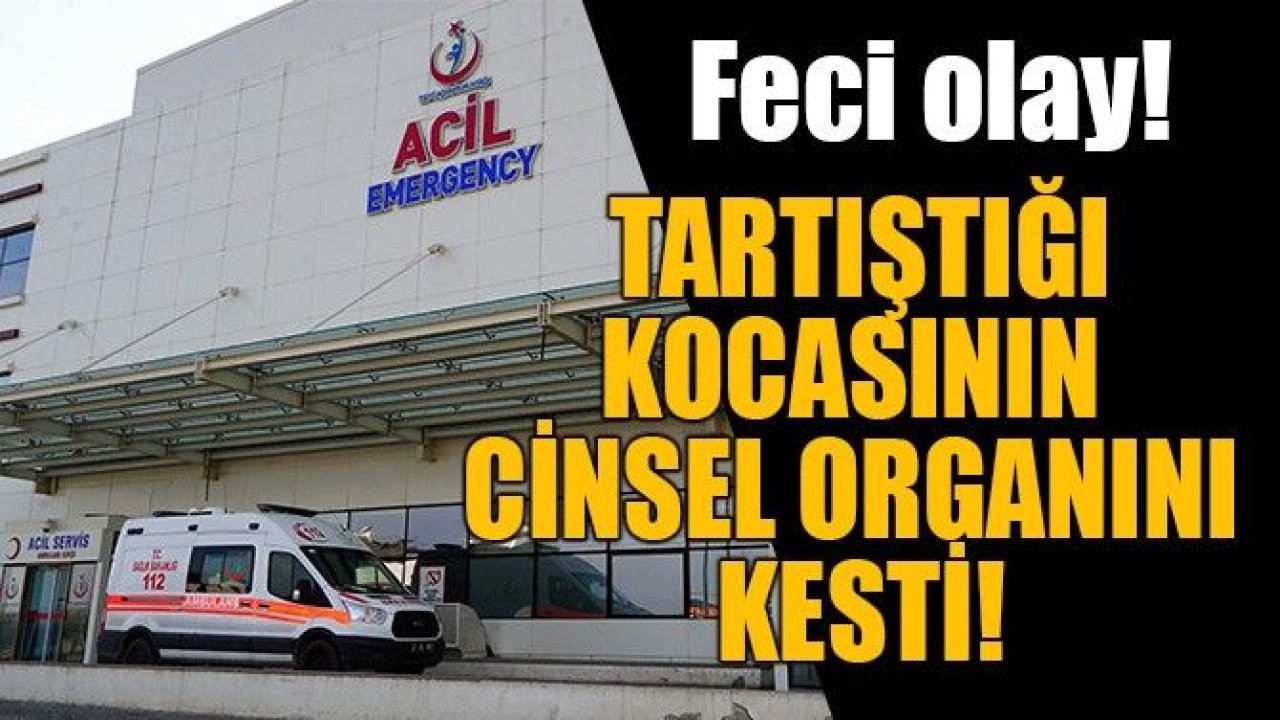 Kastamonu'da Kan Donduran Olay: Kocasıyla Tartıştı, Cinsel Organını Kesti!