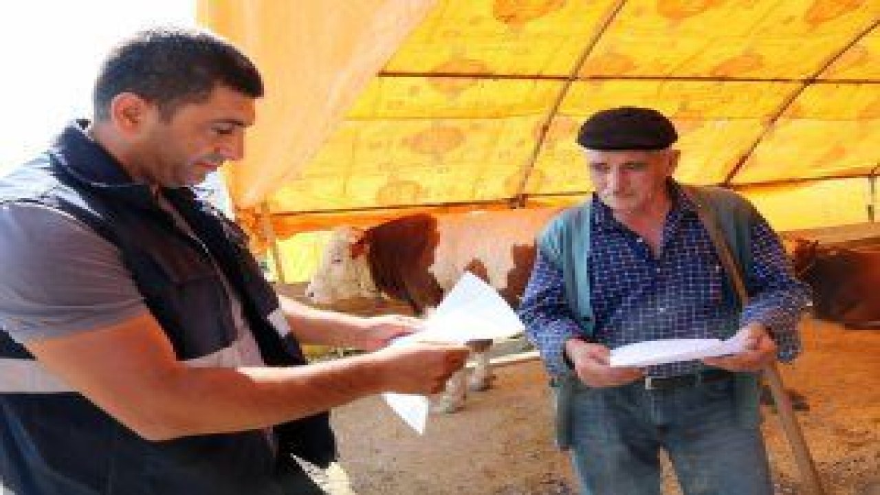 Mühye Kurban Satış ve Kesim Alanı'na kurbanlıkların alımı başlandı