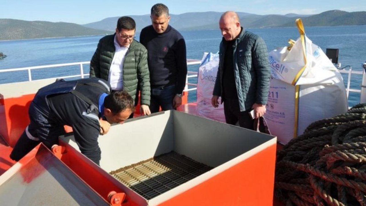 Türkiye’de Üretilen balığın yüzde 50’si ihraç ediliyor