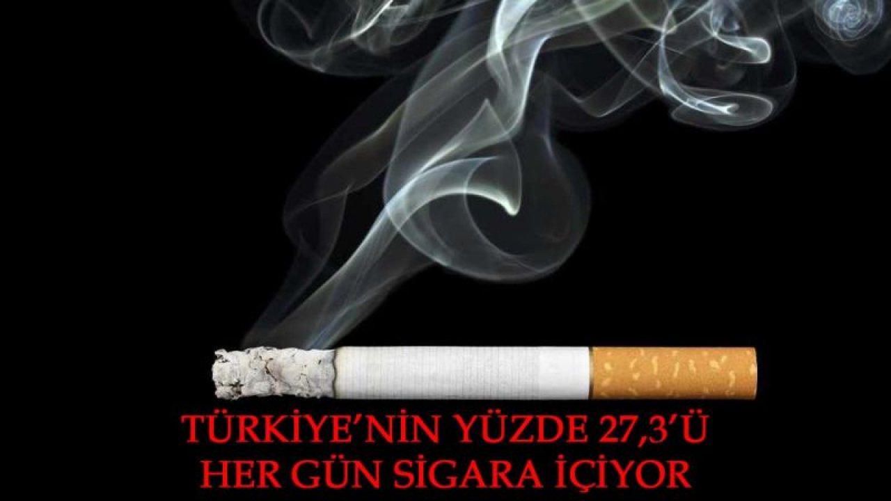 Türkiye’nin yüzde 27,3’ü her gün sigara içiyor