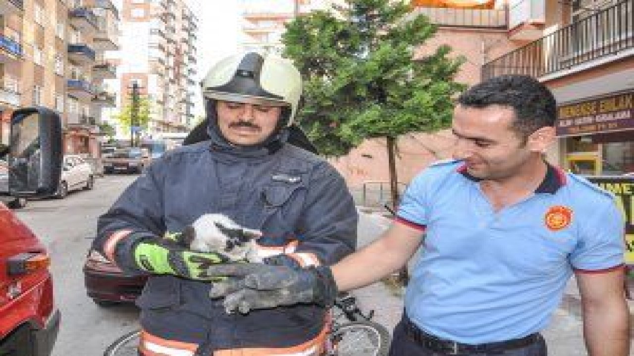 İTFAİYE EKİPLERİ, YANGIN SÖNDÜRMENİN YANI SIRA  EN FAZLA MESAİYİ, HAYVAN KURTARMA OPERASYONLARINA  HARCIYOR