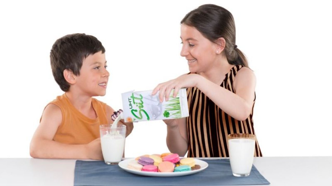 Doğru proteinin sırrı her gün iki bardak süt