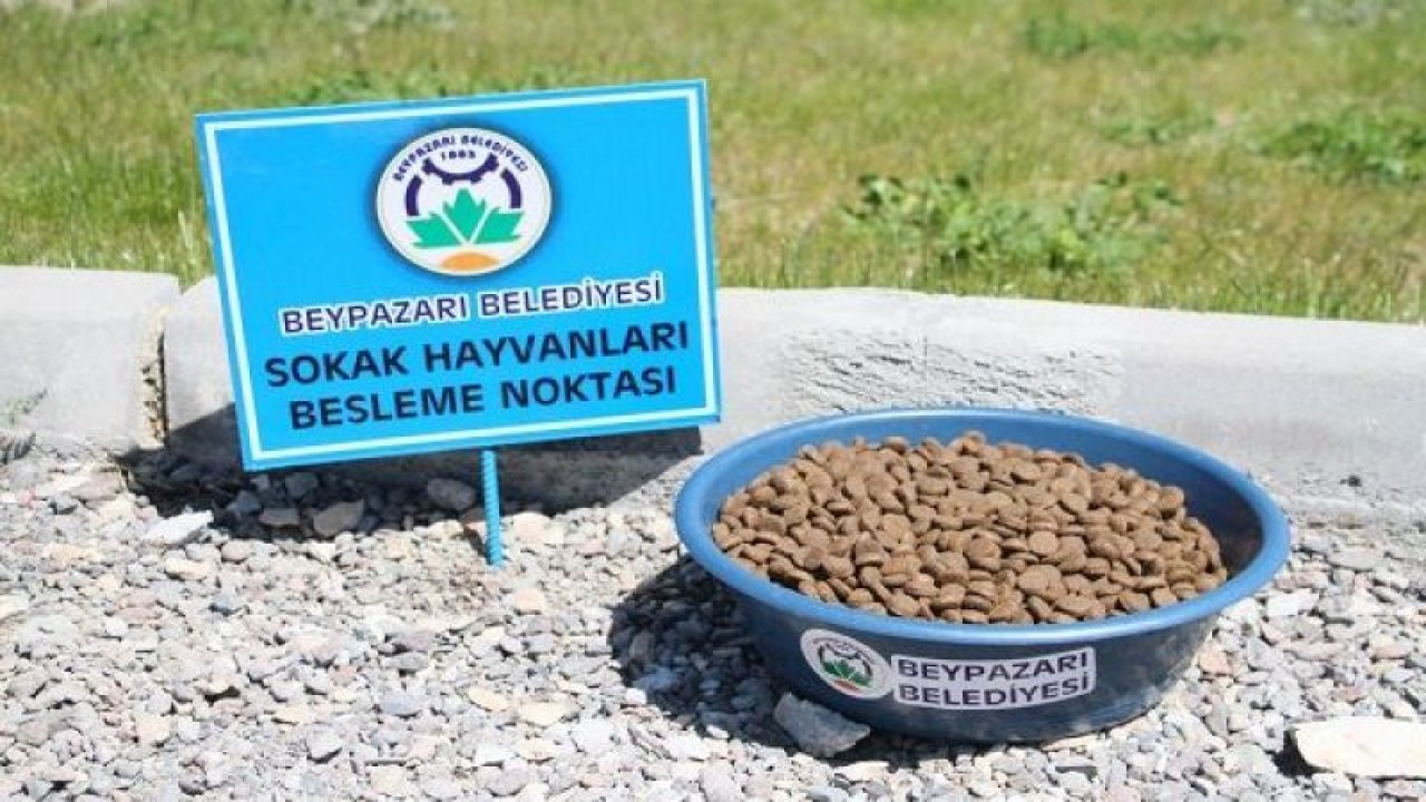 Beypazarı Belediyesi Sokak Hayvanlarını Unutmadı