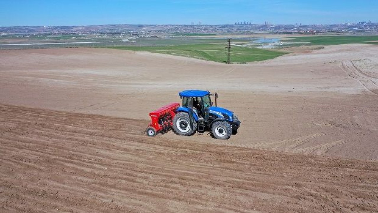 Ankara Büyükşehir Belediyesi Tarım Arazilerinde Üretime Başlıyor
