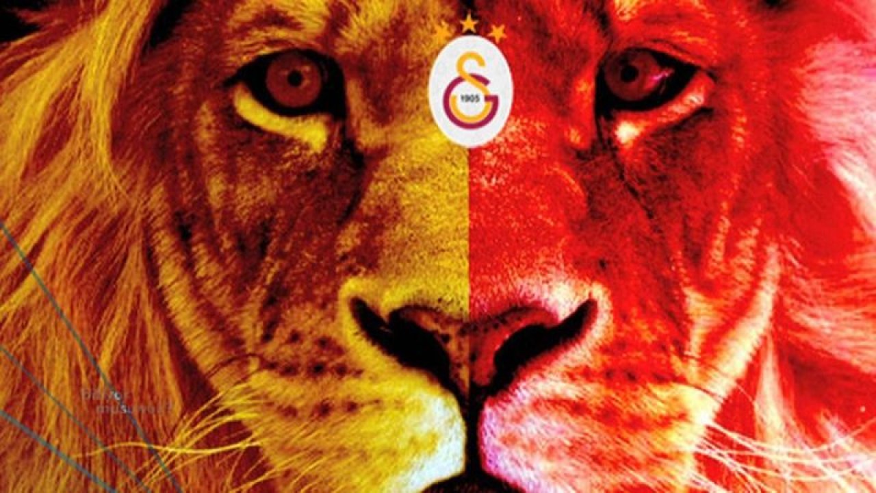 Galatasaray Simgeleri Aslan Arma ve Ablemi