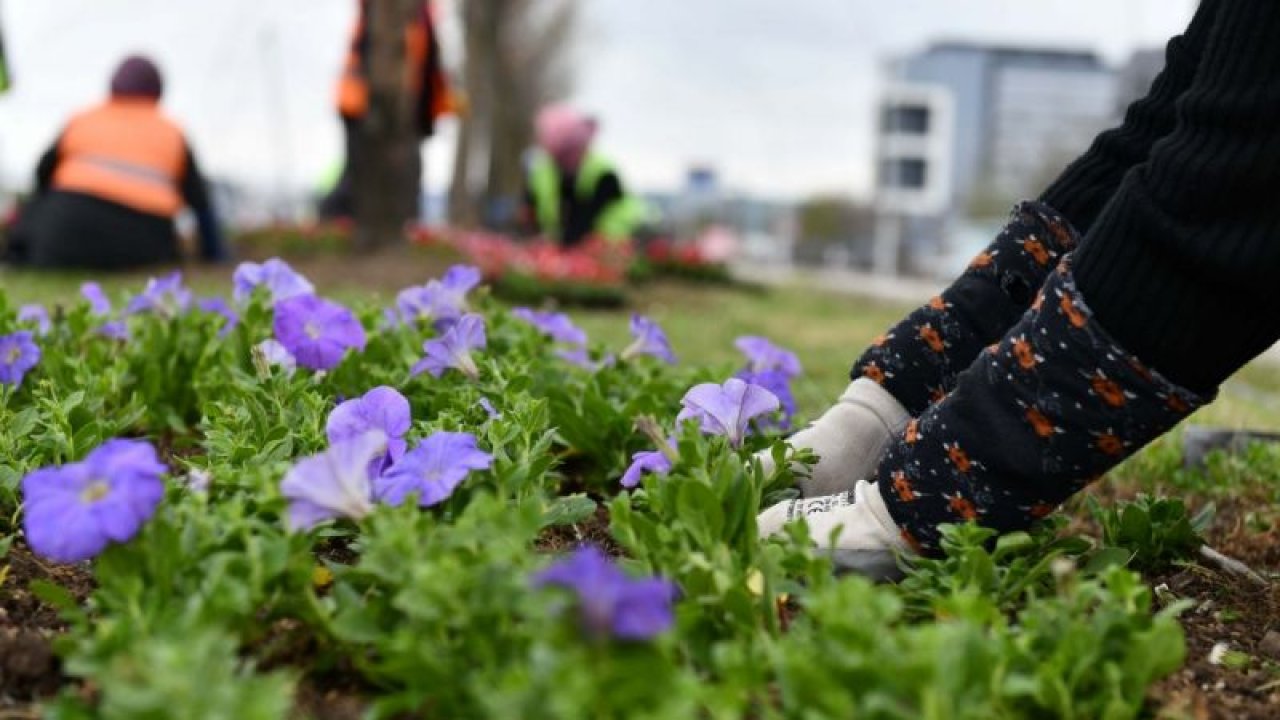 Mansur Yavaş'tan Çiçek Sürprizi