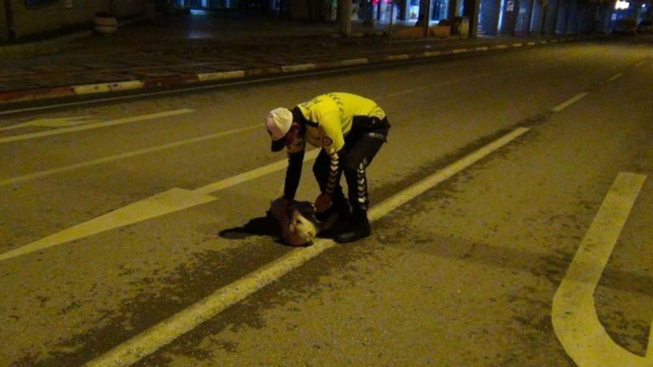 Polis memuruyla sokak köpeğinin gülümseten görüntüleri