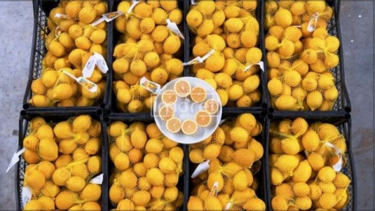 Mersin’in limonları bu kez Ankara için yola çıktı