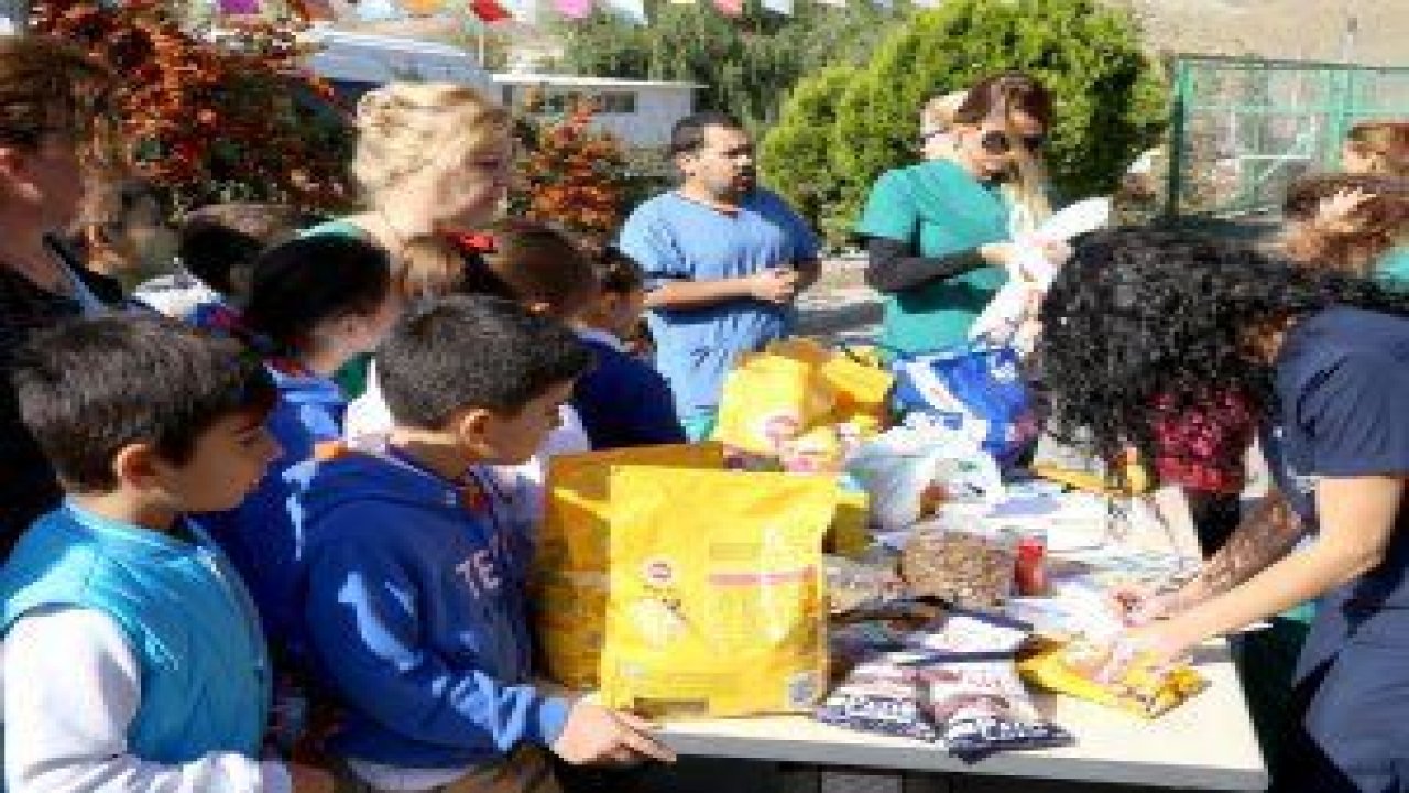 Sokak hayvanlarına 2 tonu aşkın mama bağışı yapıldı