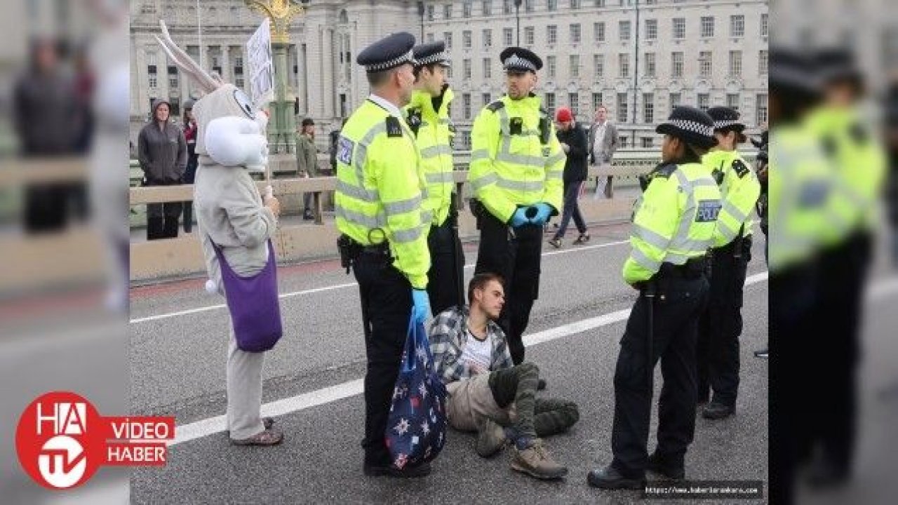 İngiltere'de çevre aktivistlerinden işgal eylemleri