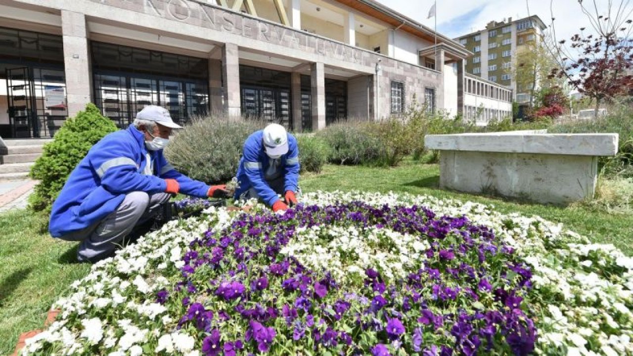Ankara Mamak Botanik Bahçesine Dönüştü