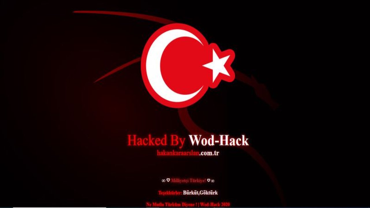 Milliyetçi Türkiye sloganıyla 1 haftada 156 Web siteyi hackledi