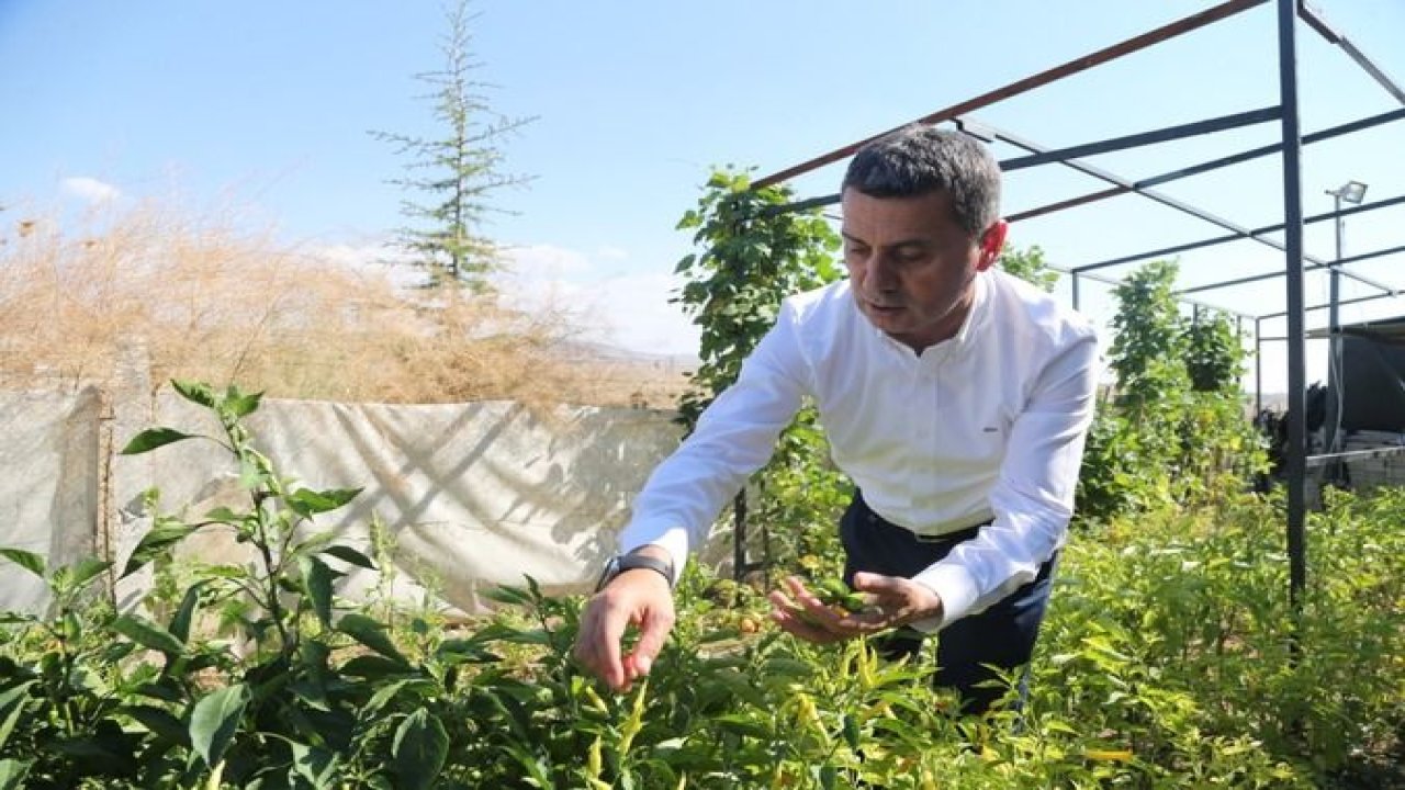 Ankara Gölbaşı'nda Tohumlar Toprakla Buluşacak
