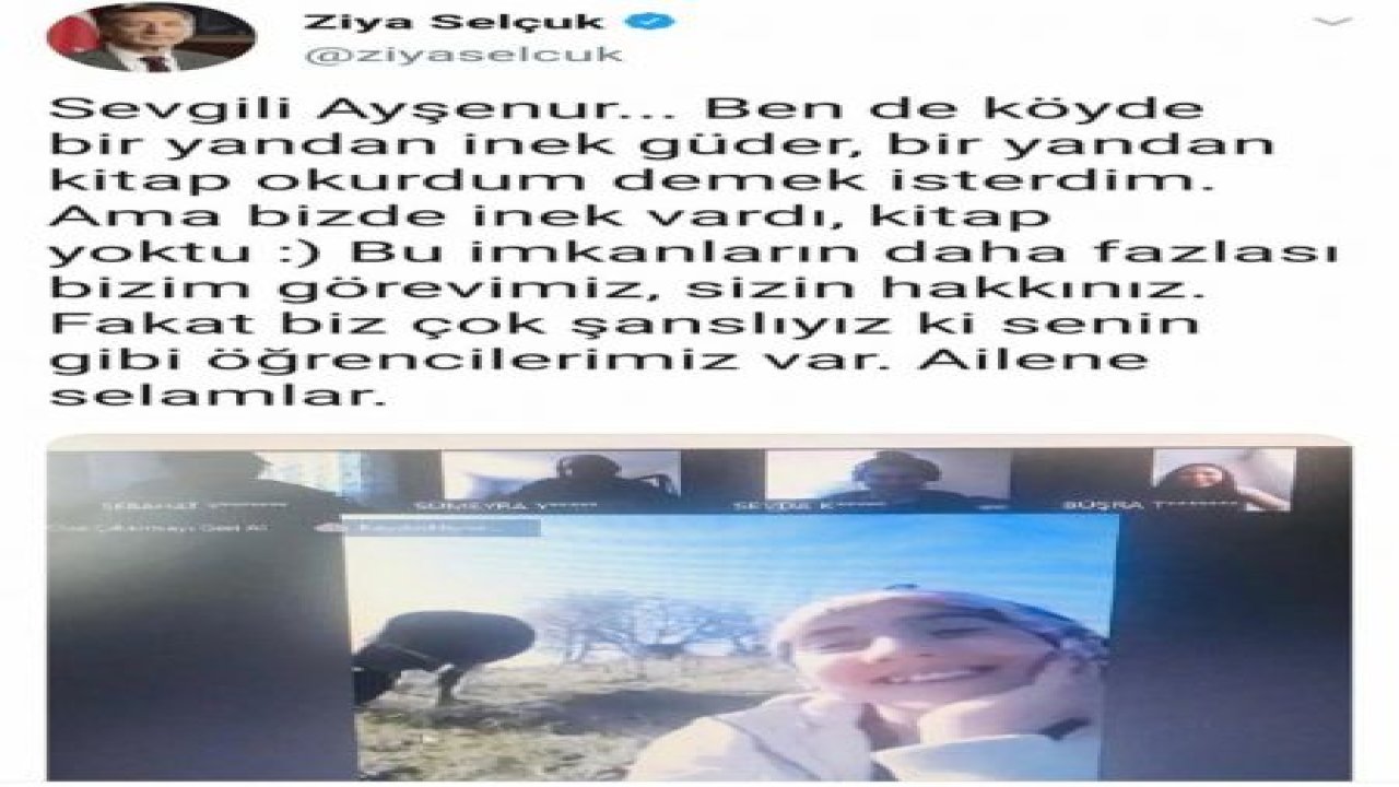 İnek otlatırken EBA canlı derse katılan kıza, Bakan Selçuk’tan övgü