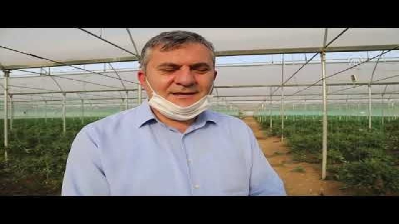 Çubuk Belediye Başkanı Baki Demirbaş'tan çiftçilere ziyaret