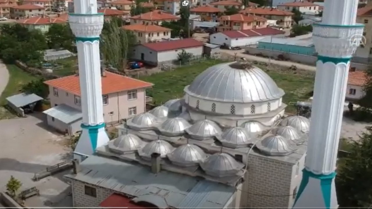 Leylekler 30 yıldır Ankara Çubuk'ta caminin kubbesinde konaklıyor