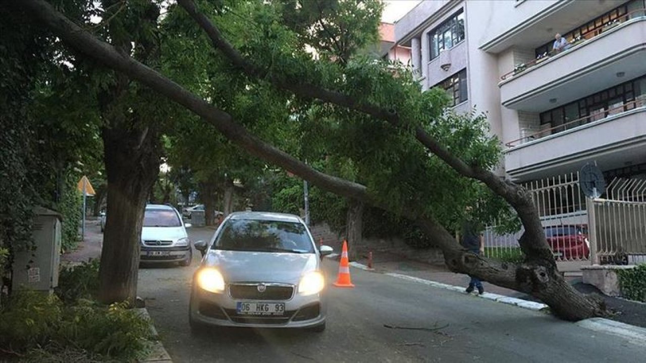 Ankara'da kuvvetli fırtına nedeniyle ağaç devrildi