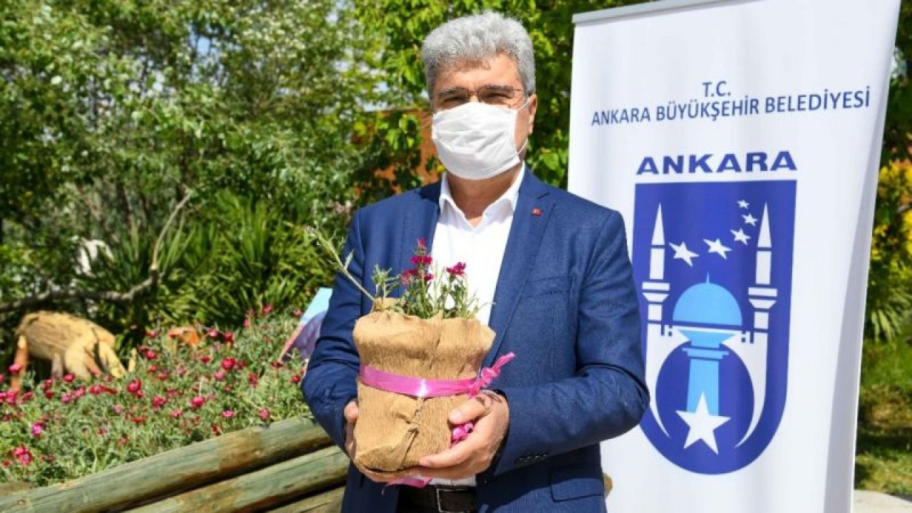 Ankara Büyükşehir  “Sevgi Çiçeği”ni Başkentlilere tanıtmak için kolları sıvadı