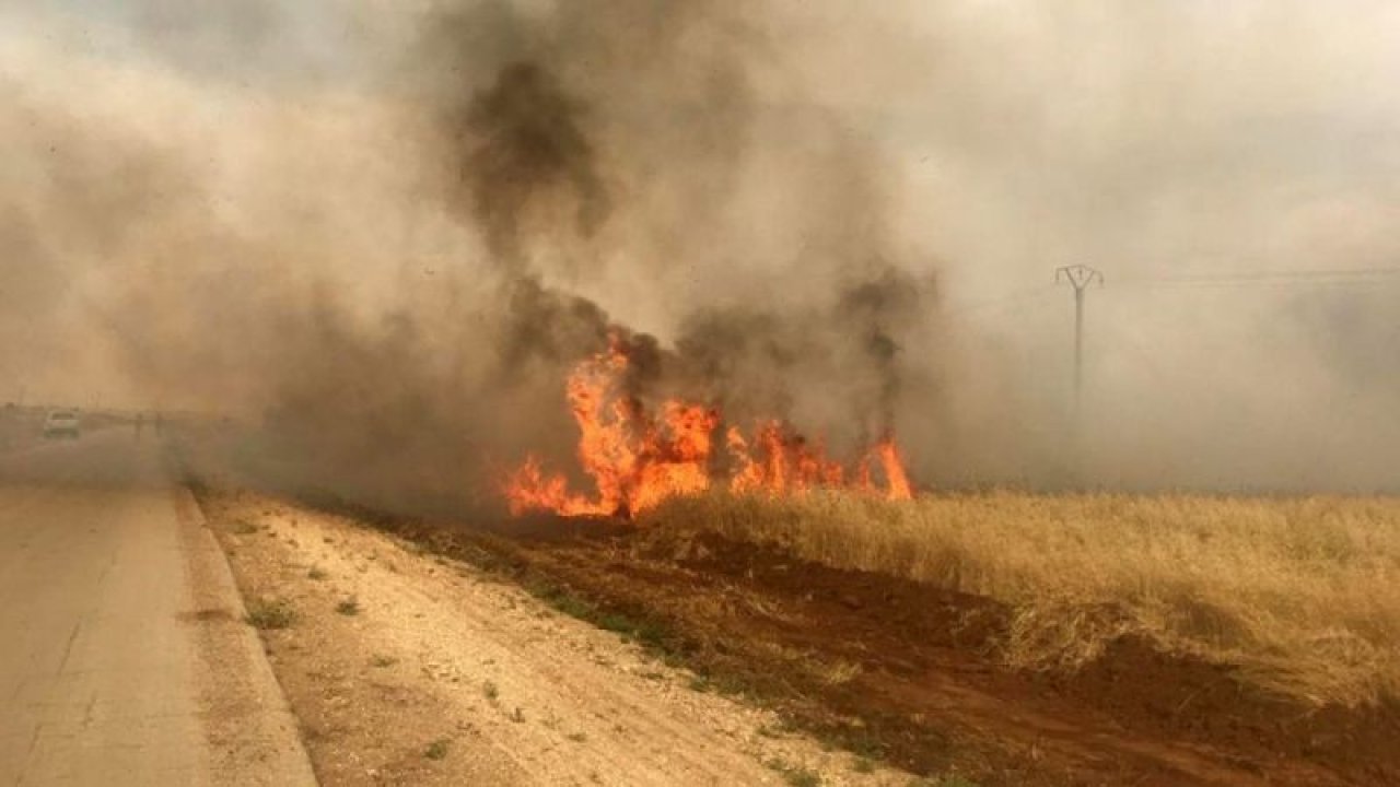 Terör örgütü PKK/YPG’nin Suriye’deki hain planı