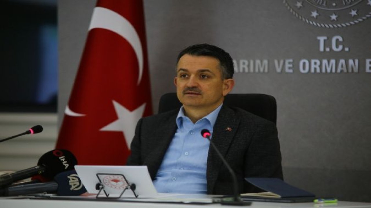 Bakan Pakdemirli: “886 milyon liralık destek ödemesi bugün başlıyor”