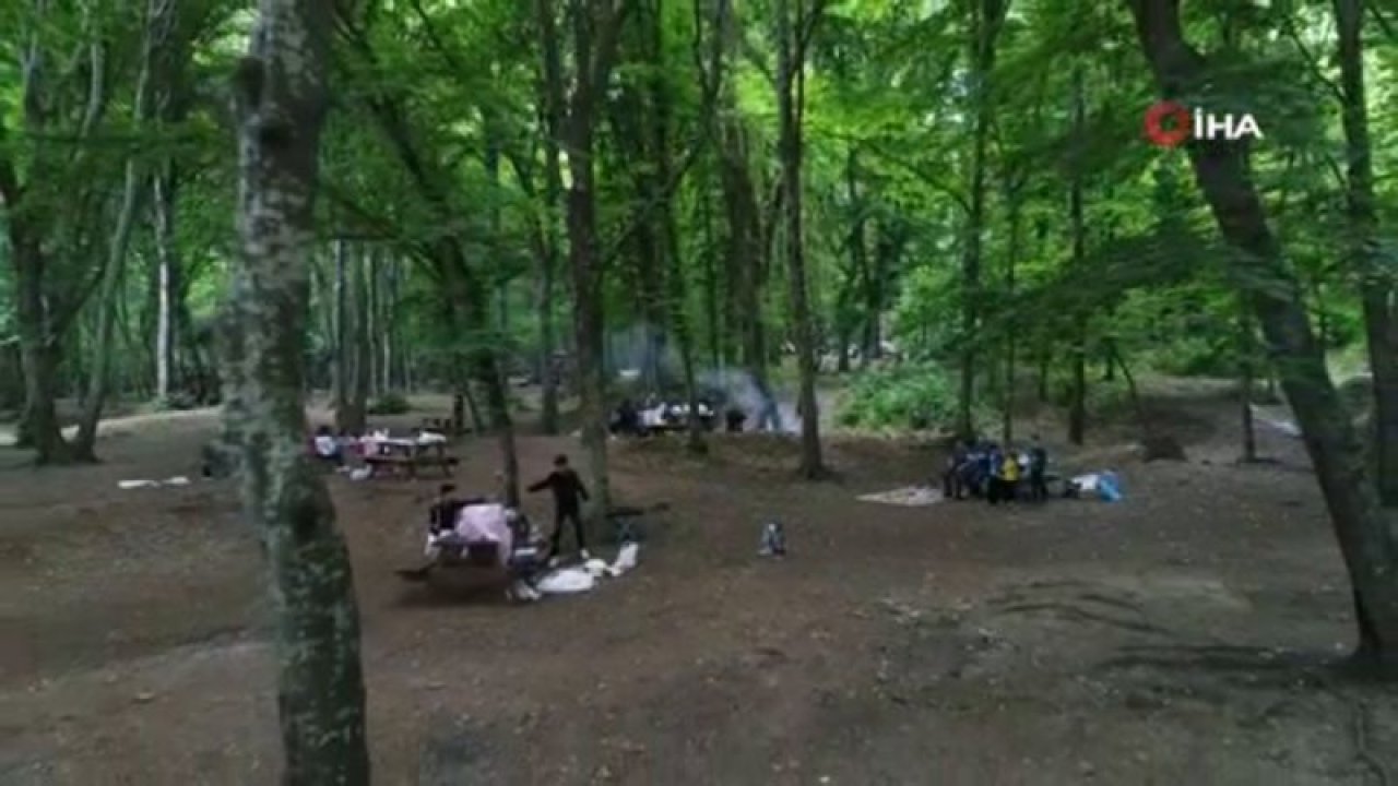 Belgrad Ormanı’nda ‘normalleşme’ yoğunluğu - Video Haber