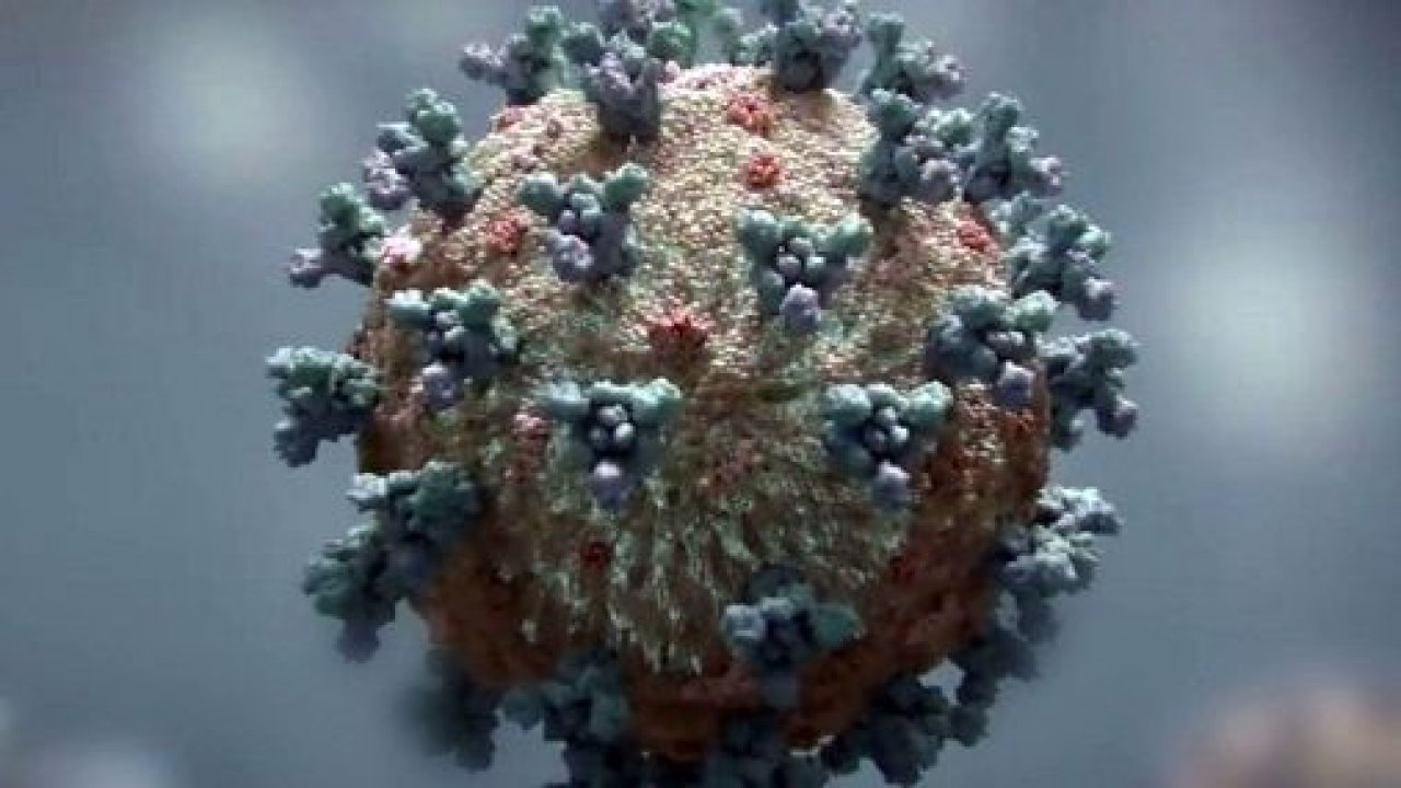 TBMM’de bir milletvekilinin koronavirüs testi pozitif çıktı