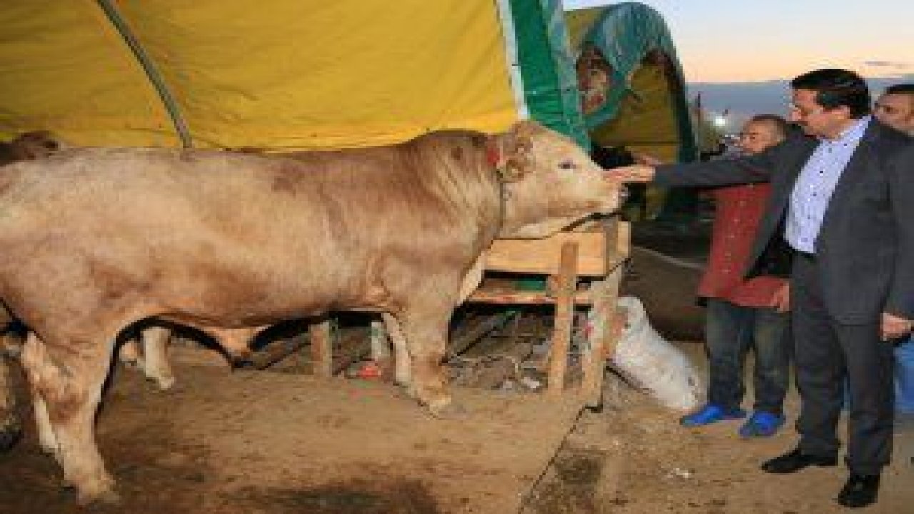 Keçiören Ovacık'ta kurulan modern kurban satış alanından vatandaşlar ve satıcılar oldukça memnunlar