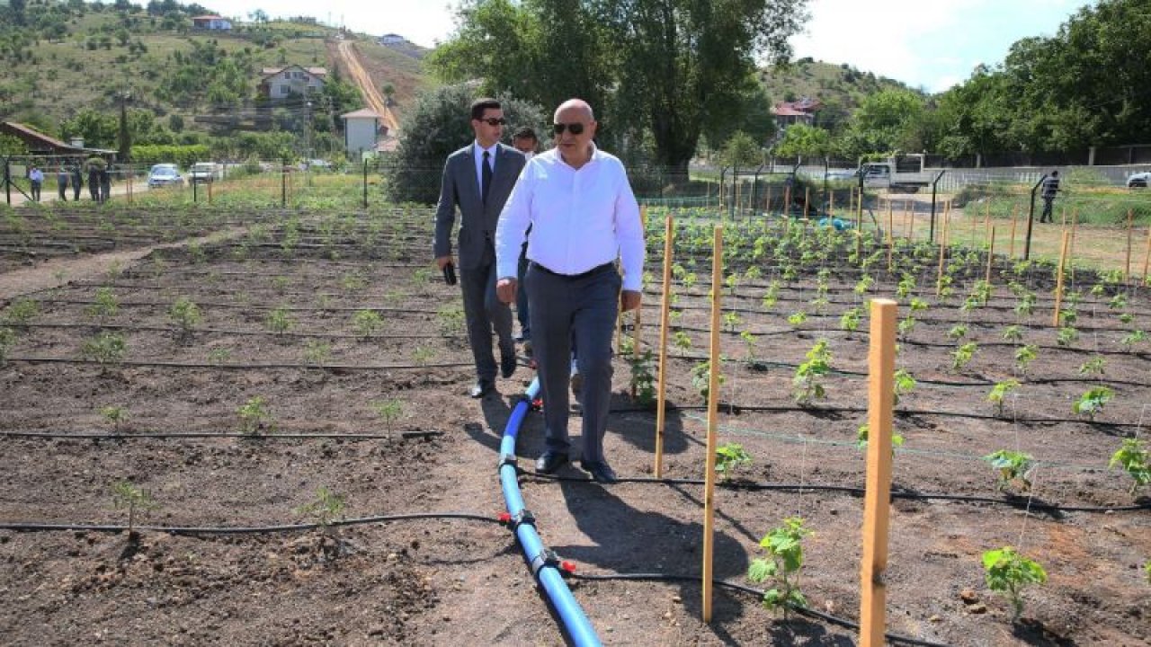 Keçiören Belediyesi, tarımsal üretim için kolları sıvadı - Ankara