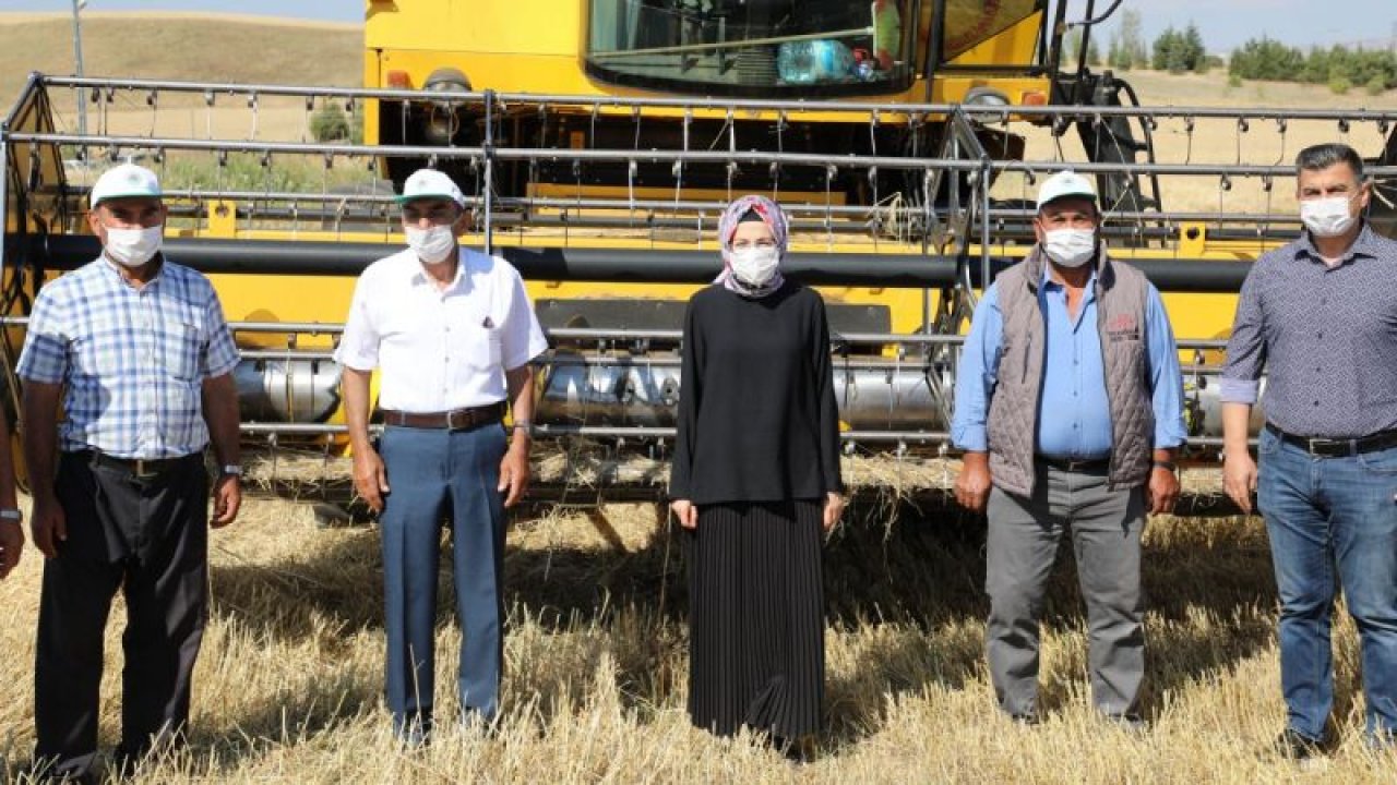 Başkan Ayık, hasat için tarlada olan çiftçileri ziyaret etti - Ankara