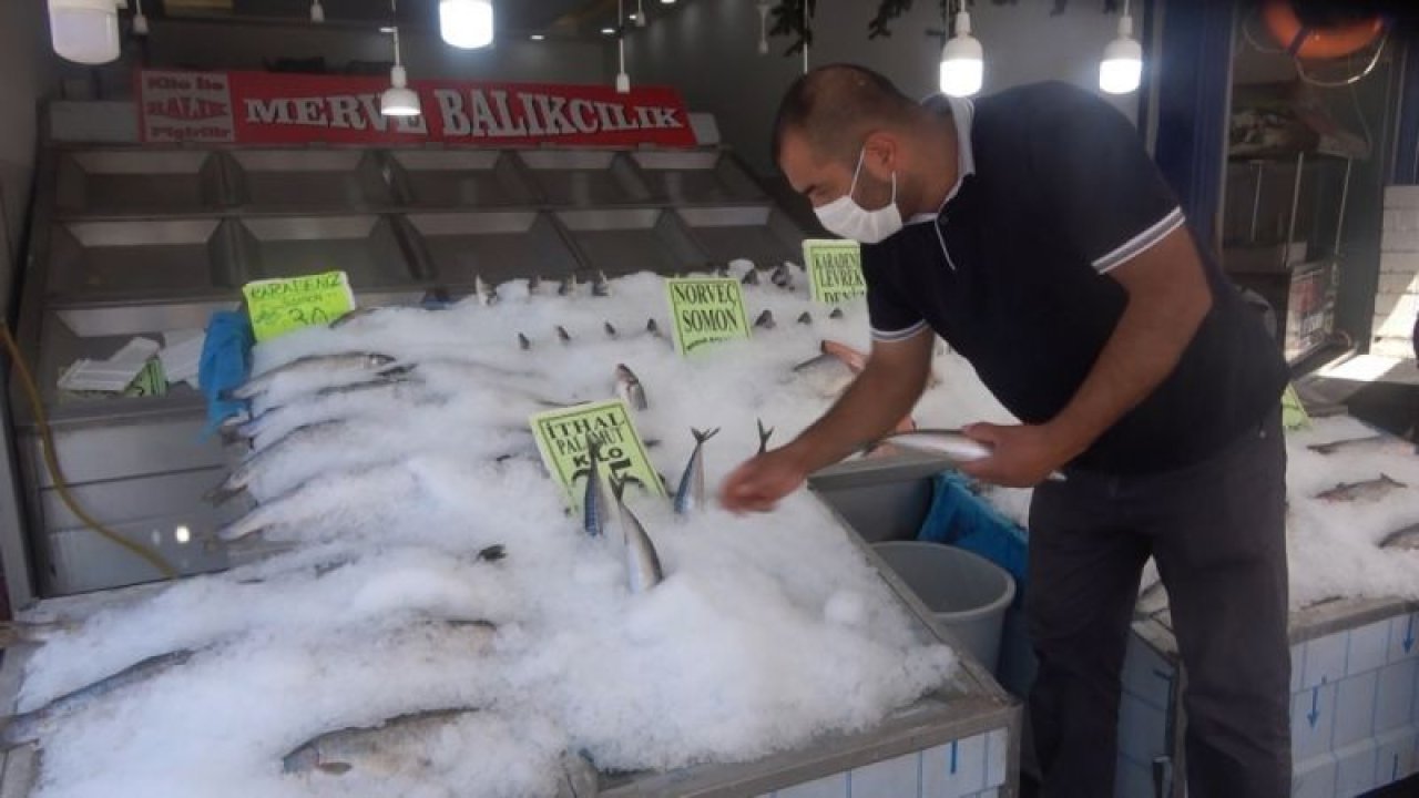 Korona virüs balık satışlarını artırdı! En çok levrek ve çipura tercih ediliyor