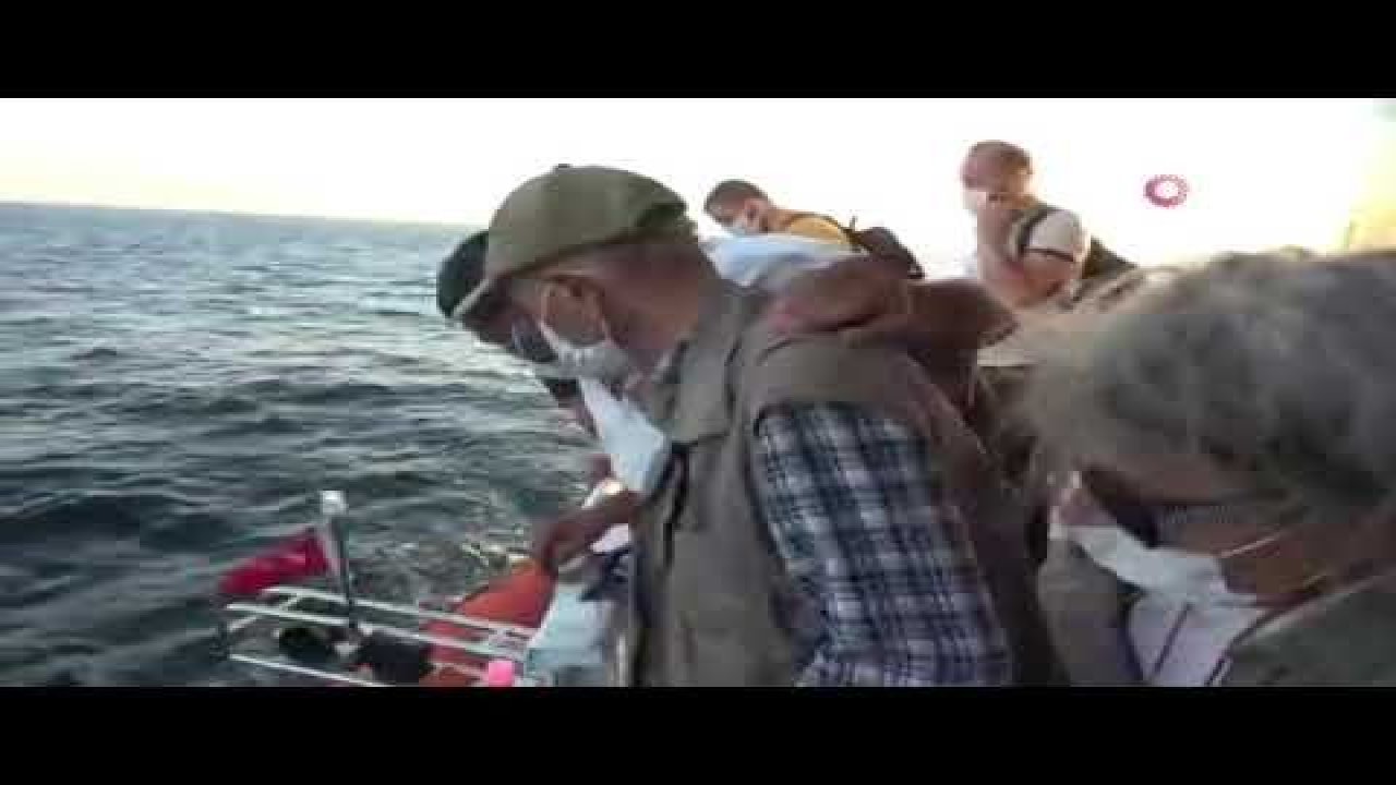 Denizin ortasında mahsur kalarak rahatsızlanan yaşlı çifti kurtarma operasyonu - Video Haber