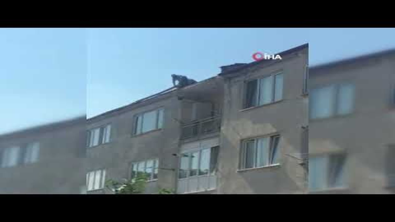 Binanın çatısında ustaları görenlerin yüreği ağzına geldi - Video Haber