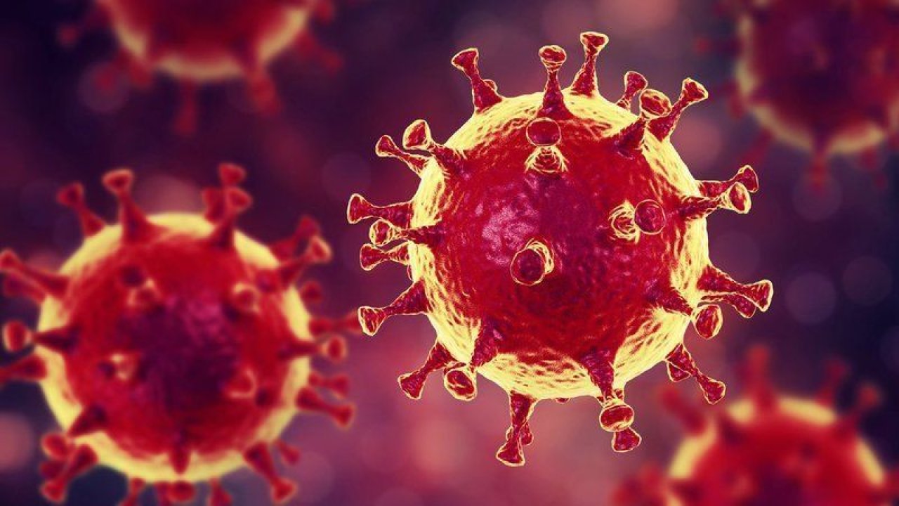 Koronavirüs Bilim Kurulu Üyesinden Kurban Bayramı için flaş uyarı!
