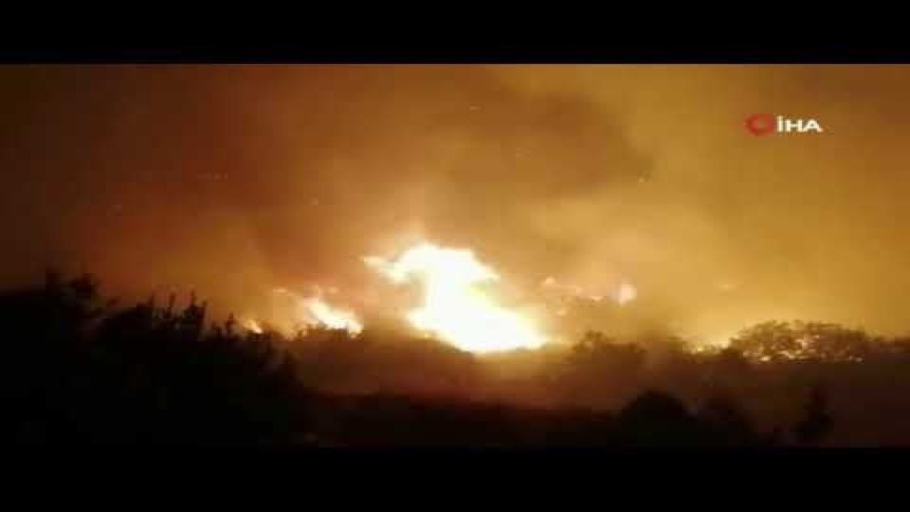 Manavgat’ta korkutan orman yangını! Yaklaşık 6 saattir devam eden yangında... - Video Haber