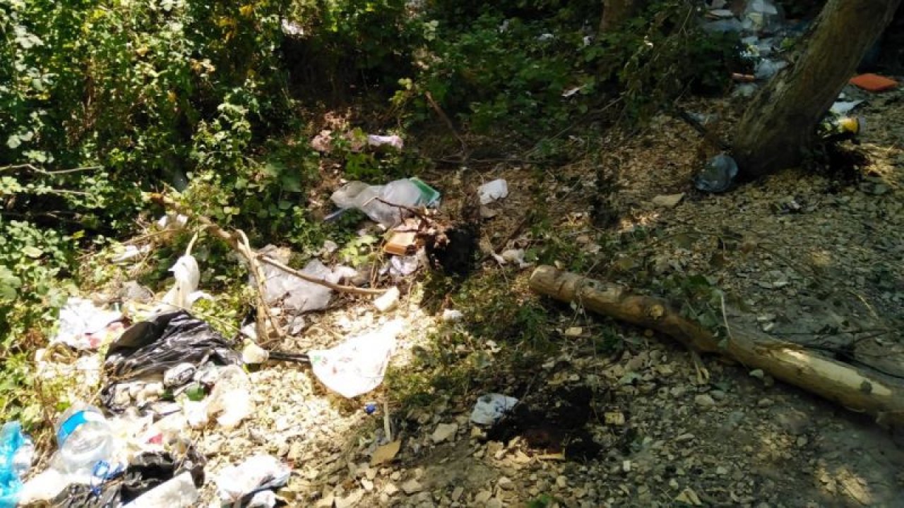 Beypazarı Belediyesi'nden Uyarı: Doğa Çöp Olmasın!