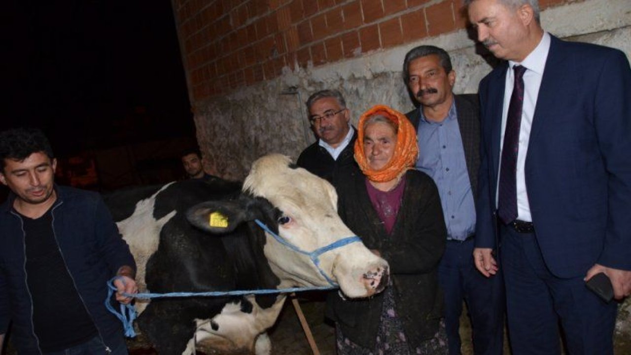 Denizli'deki Nine için Bakanlık Harekete geçti