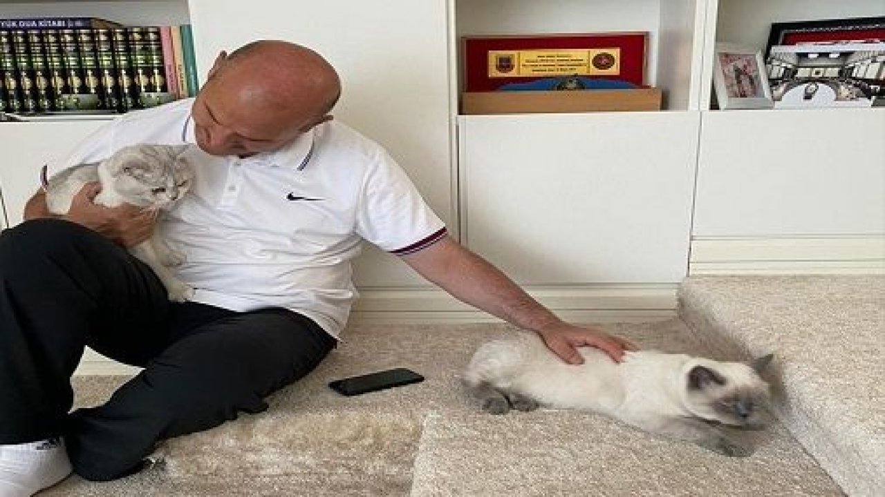 İçişleri Bakanı Soylu'dan Dünya Kediler Günü Paylaşımı