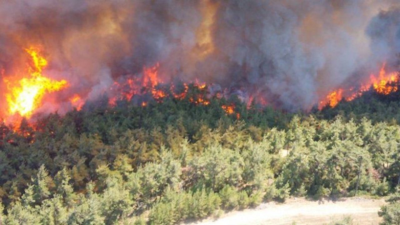 Aydos Ormanı yine yanıyor!