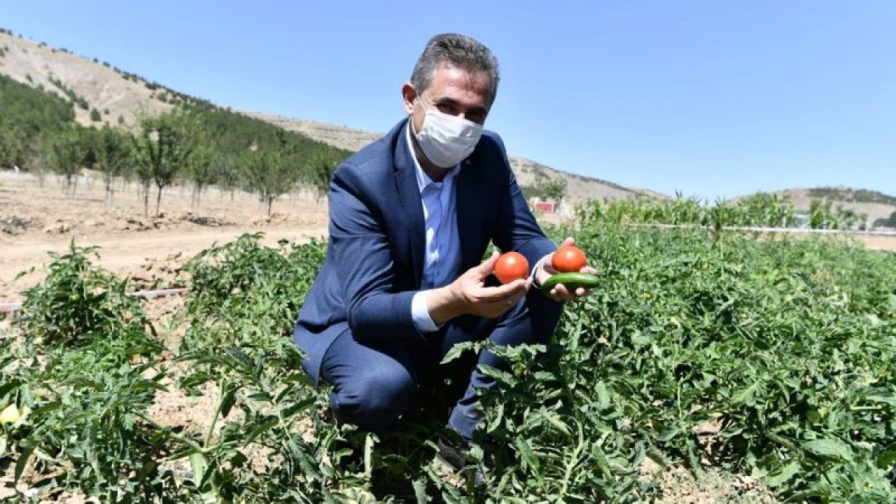 Mamak tarımda hedef büyütüyor... Ekoköy Projesi gelişerek yaygınlaşıyor - Ankara