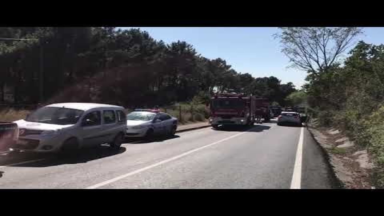 Maltepe'de korkutan orman yangını - Video Haber