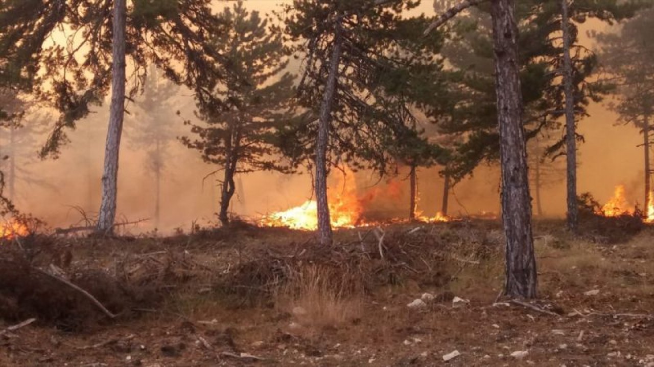 Ankara'da  Korkutan Orman Yangını! Söndürme Çalışmaları devam ediyor...