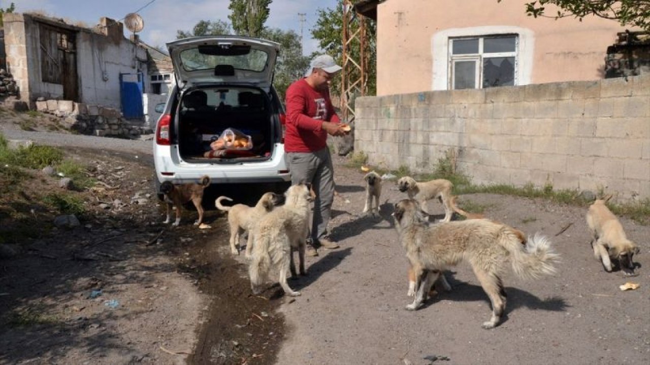Baraj nedeniyle boşaltılan köyde aç kalan köpeklere vatandaşlar sahip çıktı