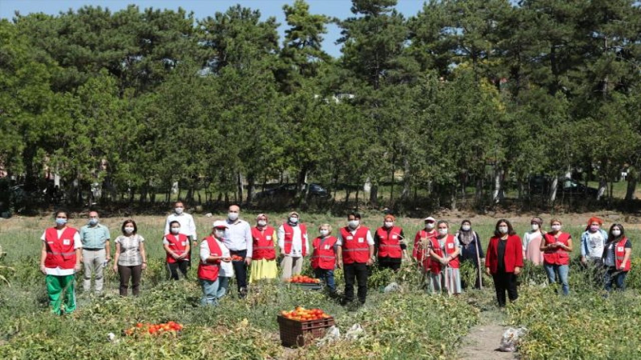 Türk Kızılay, kadın yükümlü ve gönüllülerin ürettiklerini ihtiyaç sahiplerine ulaştırıyor