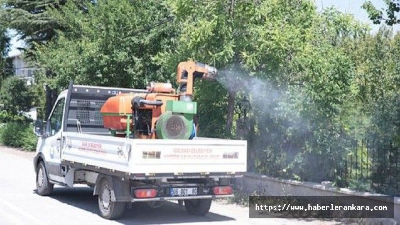 Gölbaşı Belediyesi, sivrisinek ve karasinek mücadele çalışmalarına hız verdi