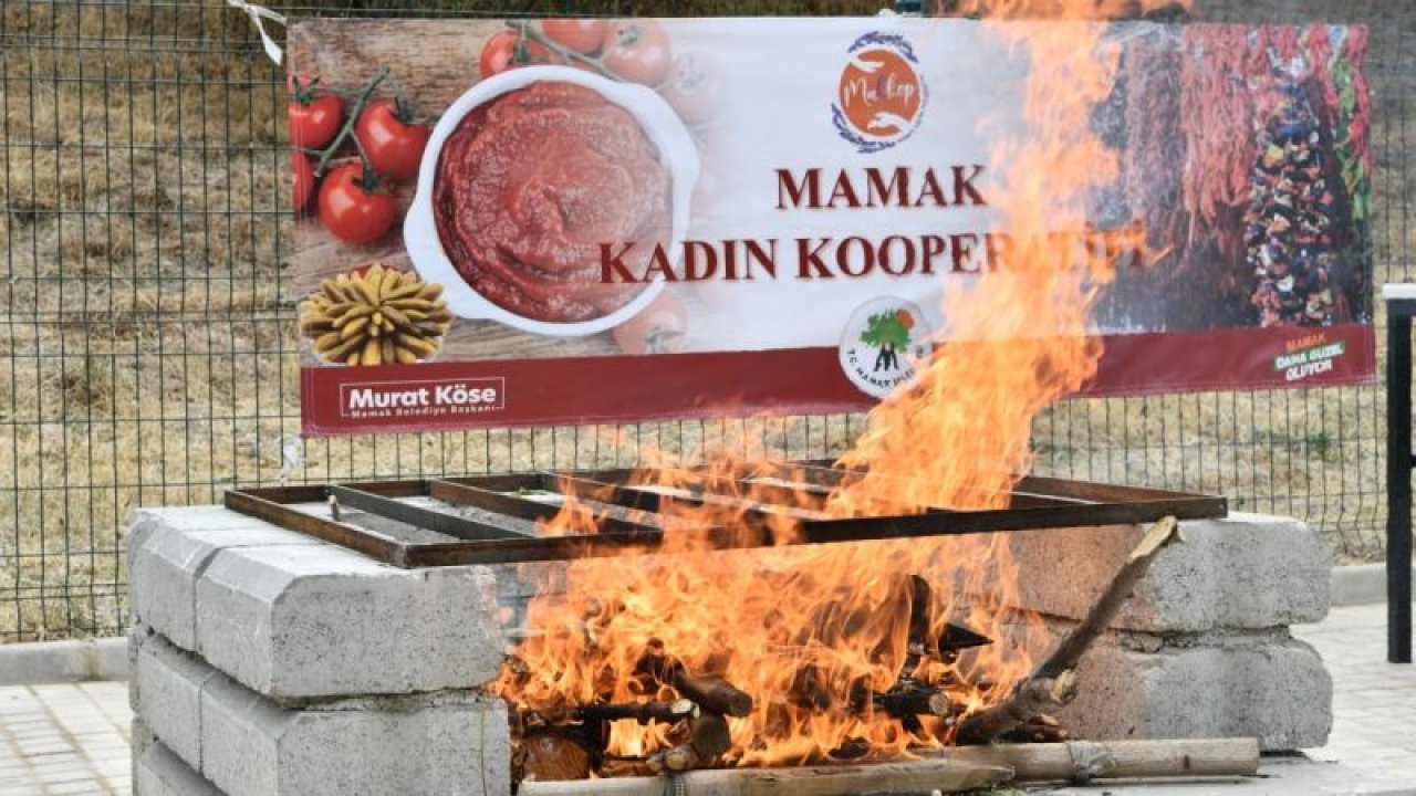 Mamak'ta organik üretime kadın eli değdi - Ankara