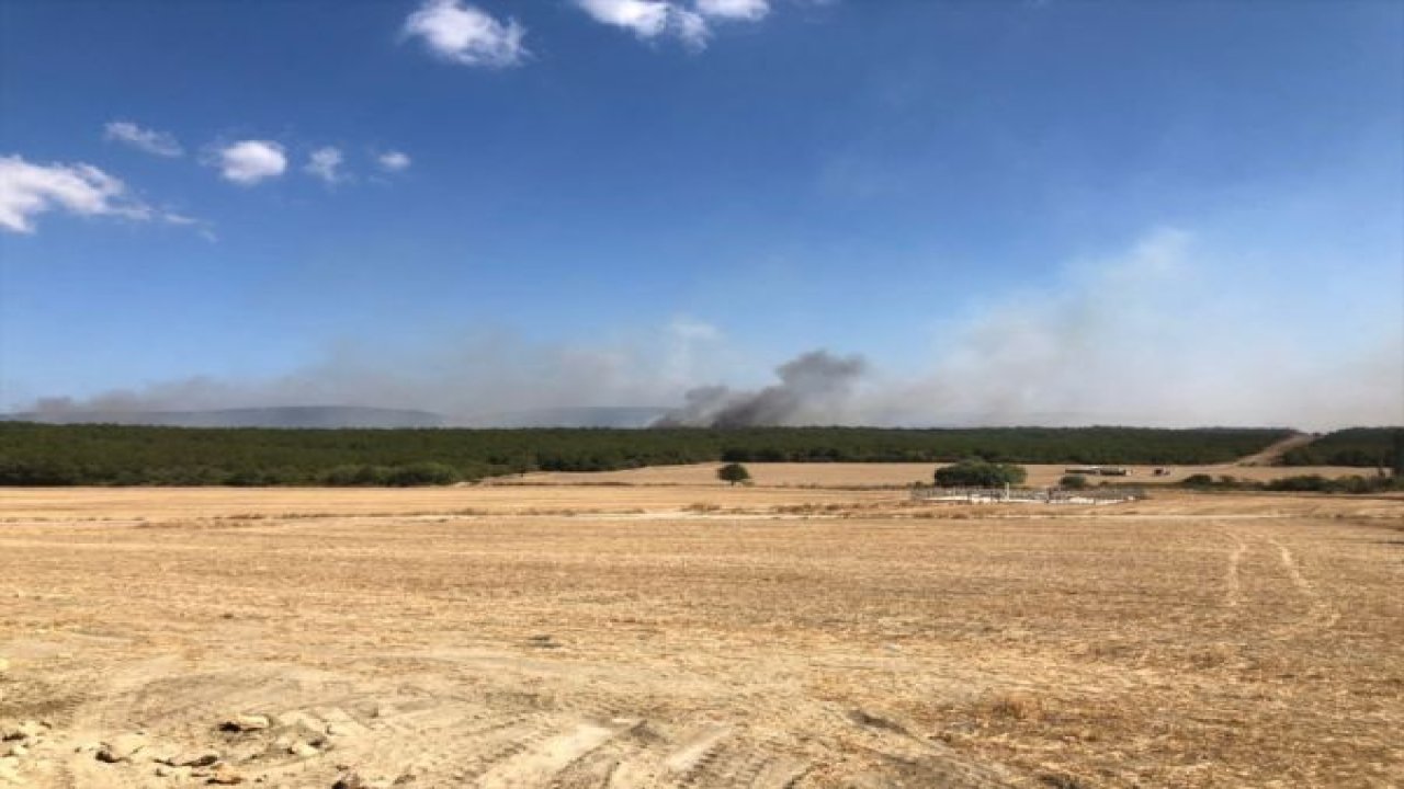 Çanakkale'nin iki ilçesinde orman yangını