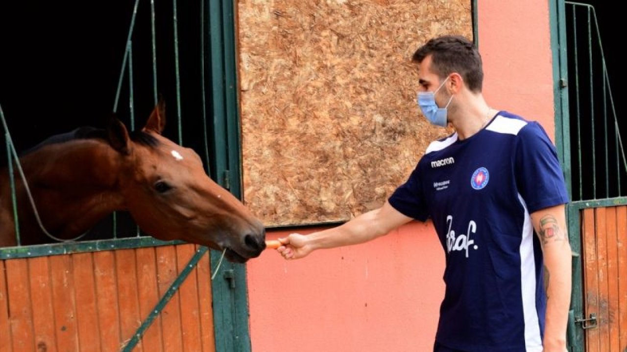 Halkbank Voleybol Takımı'nın oyuncusu Gökhan Gökgöz: "Takımda tam bir rekabet havası var"