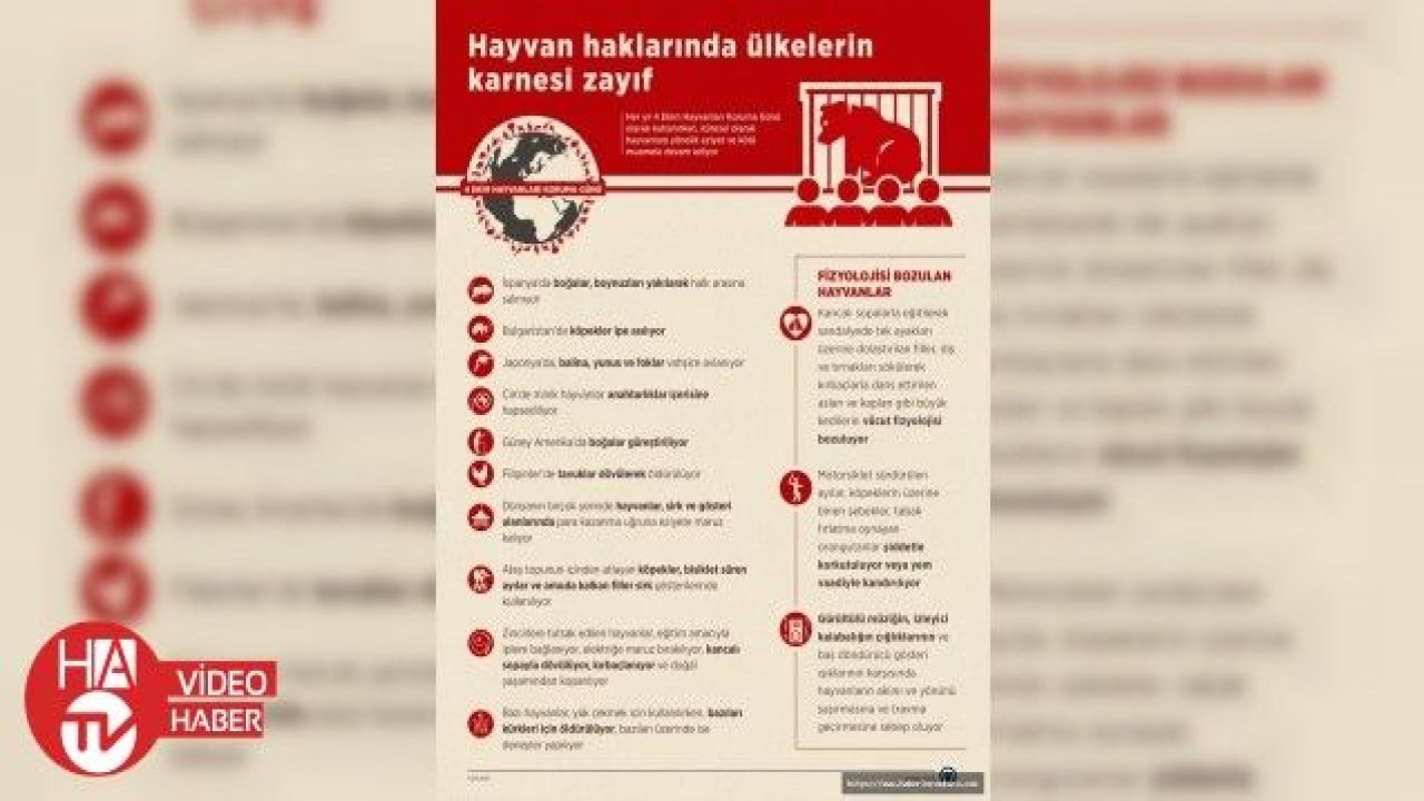 Hayvan haklarında ülkelerin karnesi zayıf