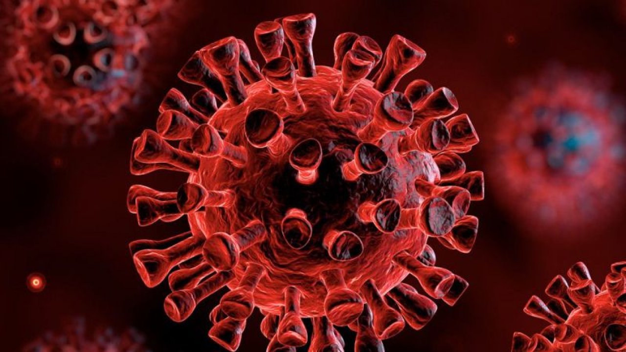 Ankara'da Çifte Koronavirüs Riski! Ölüm Oranı Direkt Olarak 2 Katına Çıkıyor... Eğer Bunlara Dikkat Edilmezse; Felaket Gelebilir...