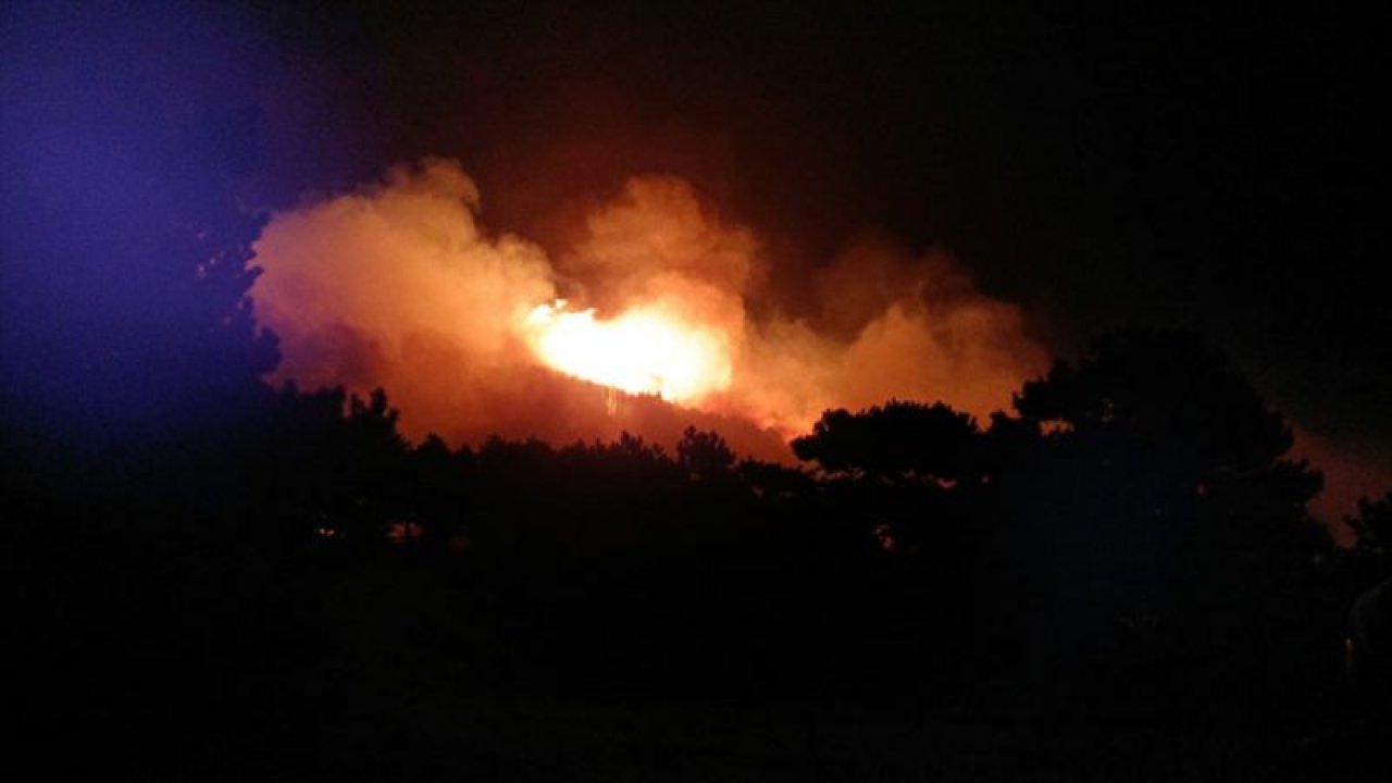 İzmir'de çıkan orman yangını Balıkesir'e sıçradı - Video Haber
